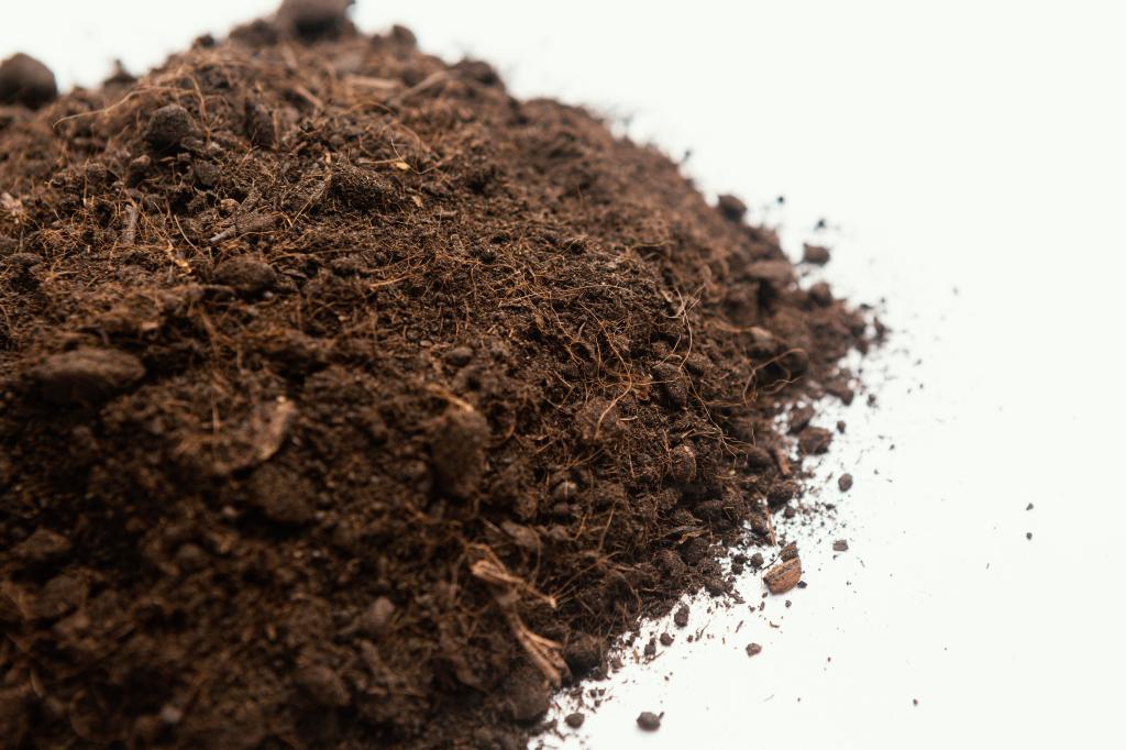 "Close up natural soil" from Freepik.com